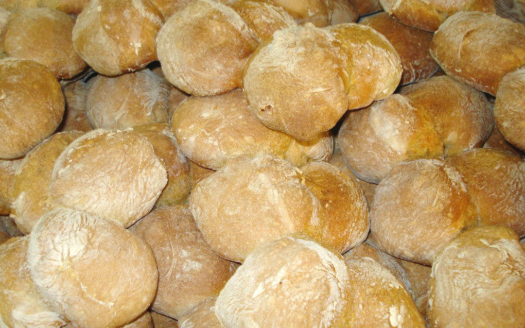 Azeméis | E o Homem (a)colheu…