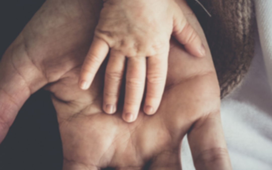 Opinião Jurídica | CT | Parentalidade e Luto