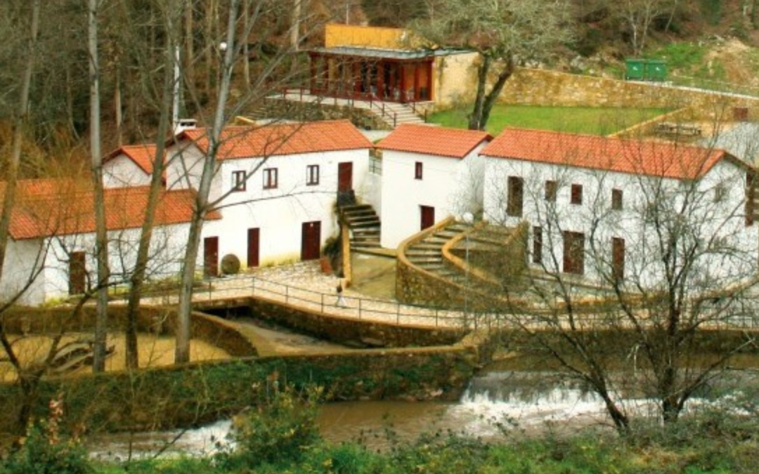 Azeméis | Parque Temático Molinológico