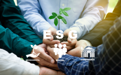 Opinião | ESG: Conceitos a pôr em prática quanto antes